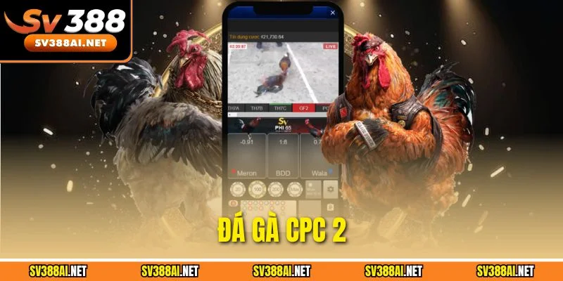 Đá Gà CPC 2 - Giải Chọi Kê Trực Tuyến Đẳng Cấp Tại SV388