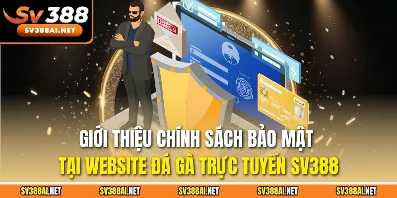 Giới thiệu chính sách bảo mật tại website đá gà trực tuyến SV388