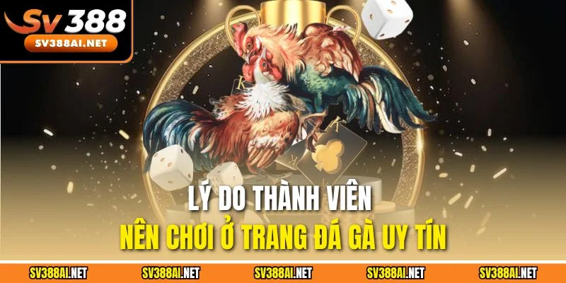 Lý do thành viên nên chơi ở trang đá gà uy tín Lý do thành viên nên chơi ở trang đá gà uy tín