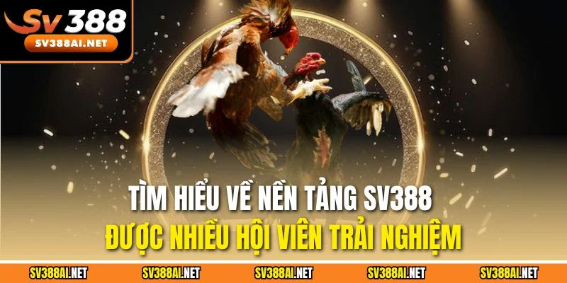 Tìm hiểu về nền tảng SV388 được nhiều hội viên trải nghiệm Tìm hiểu về nền tảng SV388 được nhiều hội viên trải nghiệm