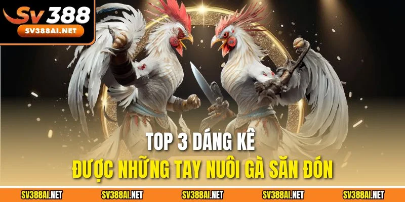 Top 3 dáng kê được những tay nuôi gà săn đón