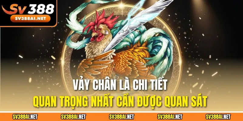 Vảy chân là chi tiết quan trọng nhất cần được quan sát 